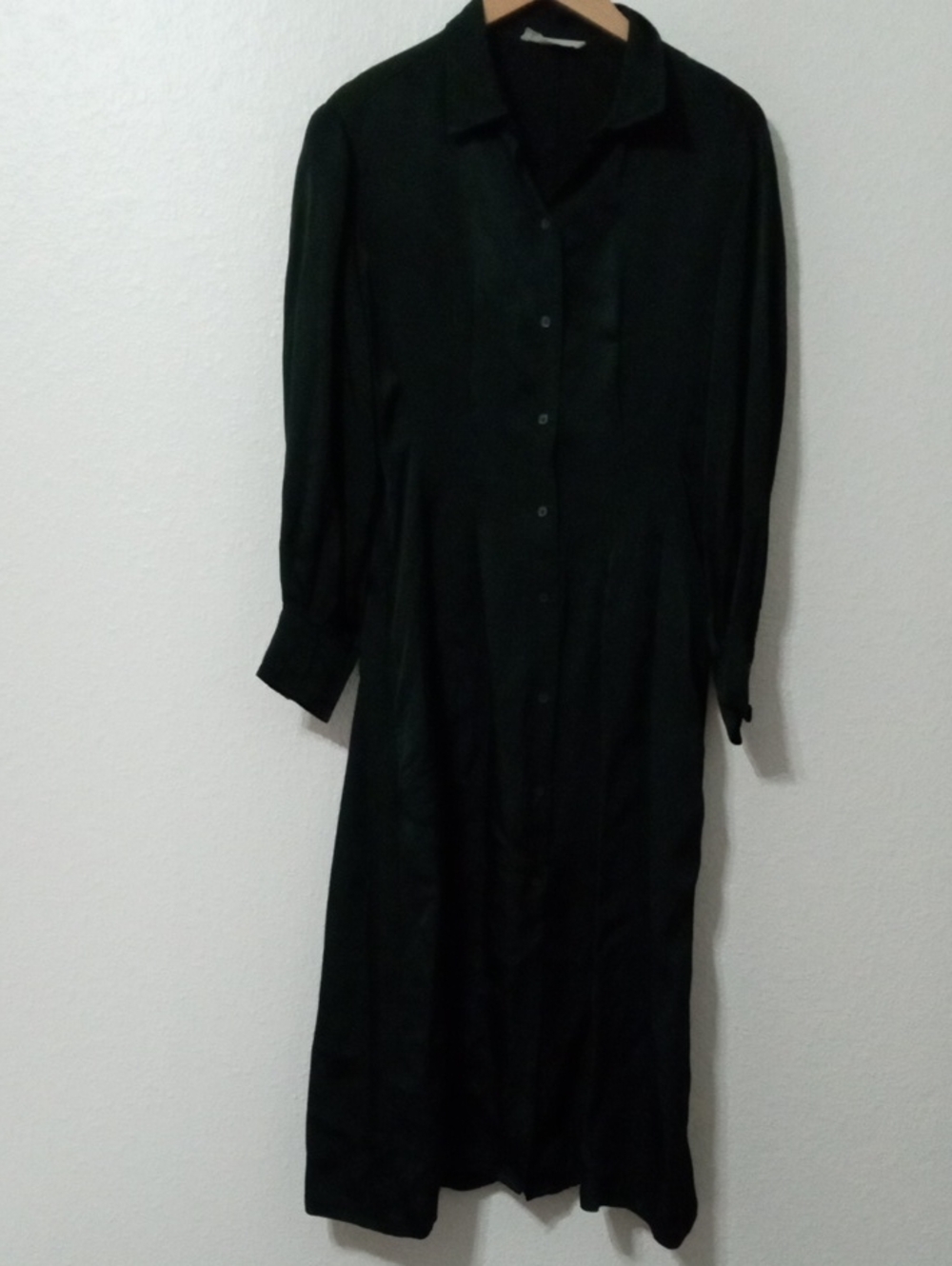 Everlane Shirt Dress